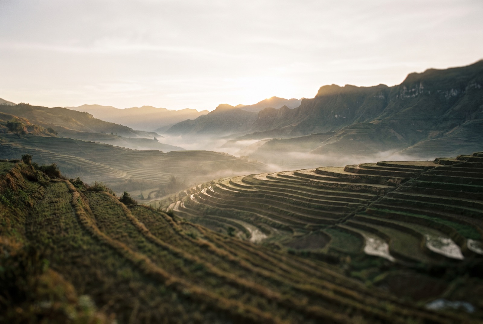 Terraced tea plantations in Yunnan, China